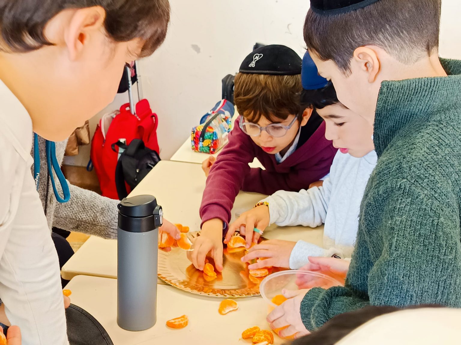 WhatsApp Image 2026-02-16 at 14.58.59 (1)