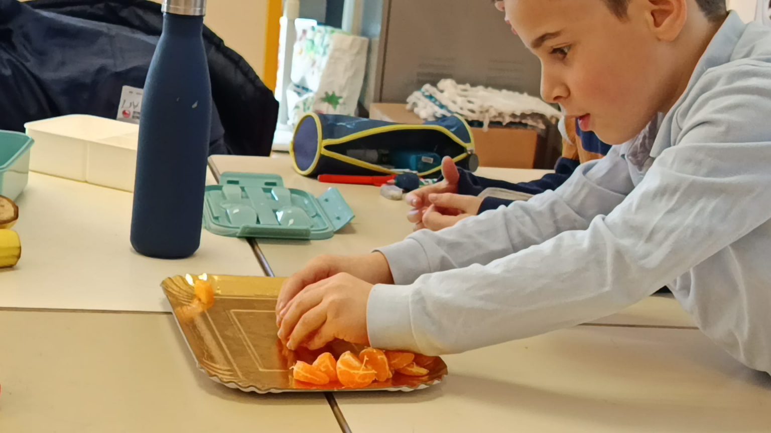 WhatsApp Image 2026-02-16 at 14.58.59